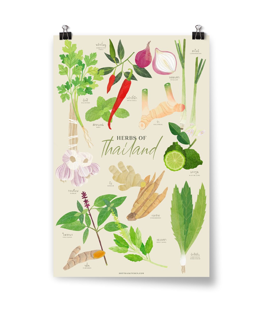 Herbs of Thailand Poster