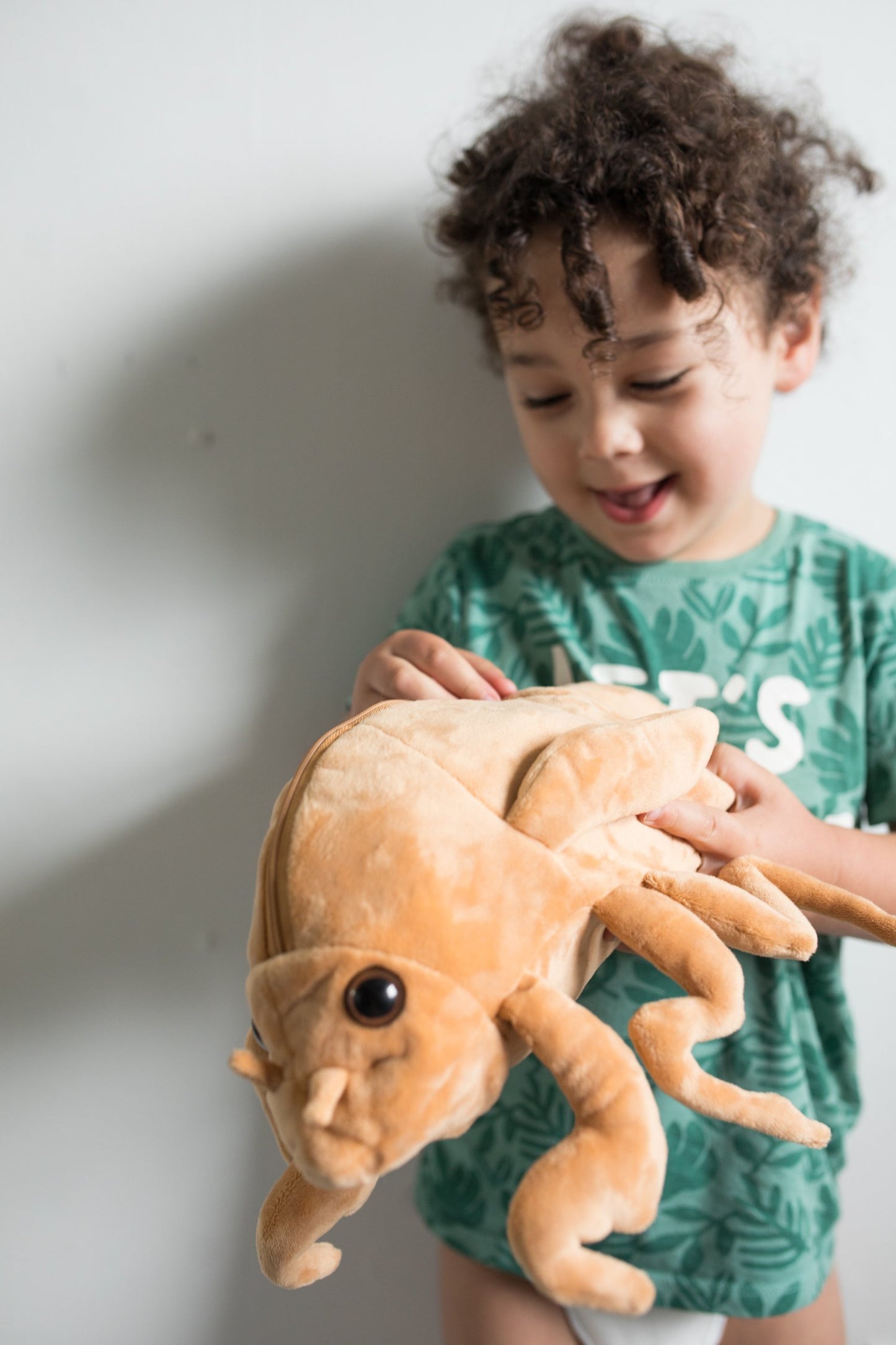 Cicada Plushie