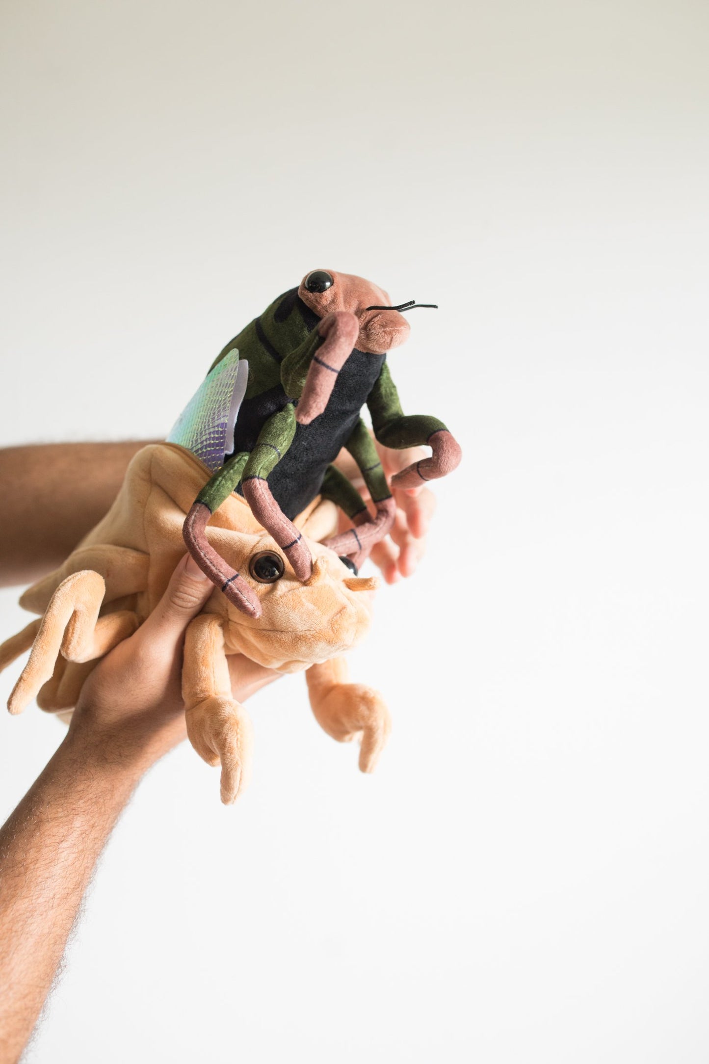 Cicada Plushie