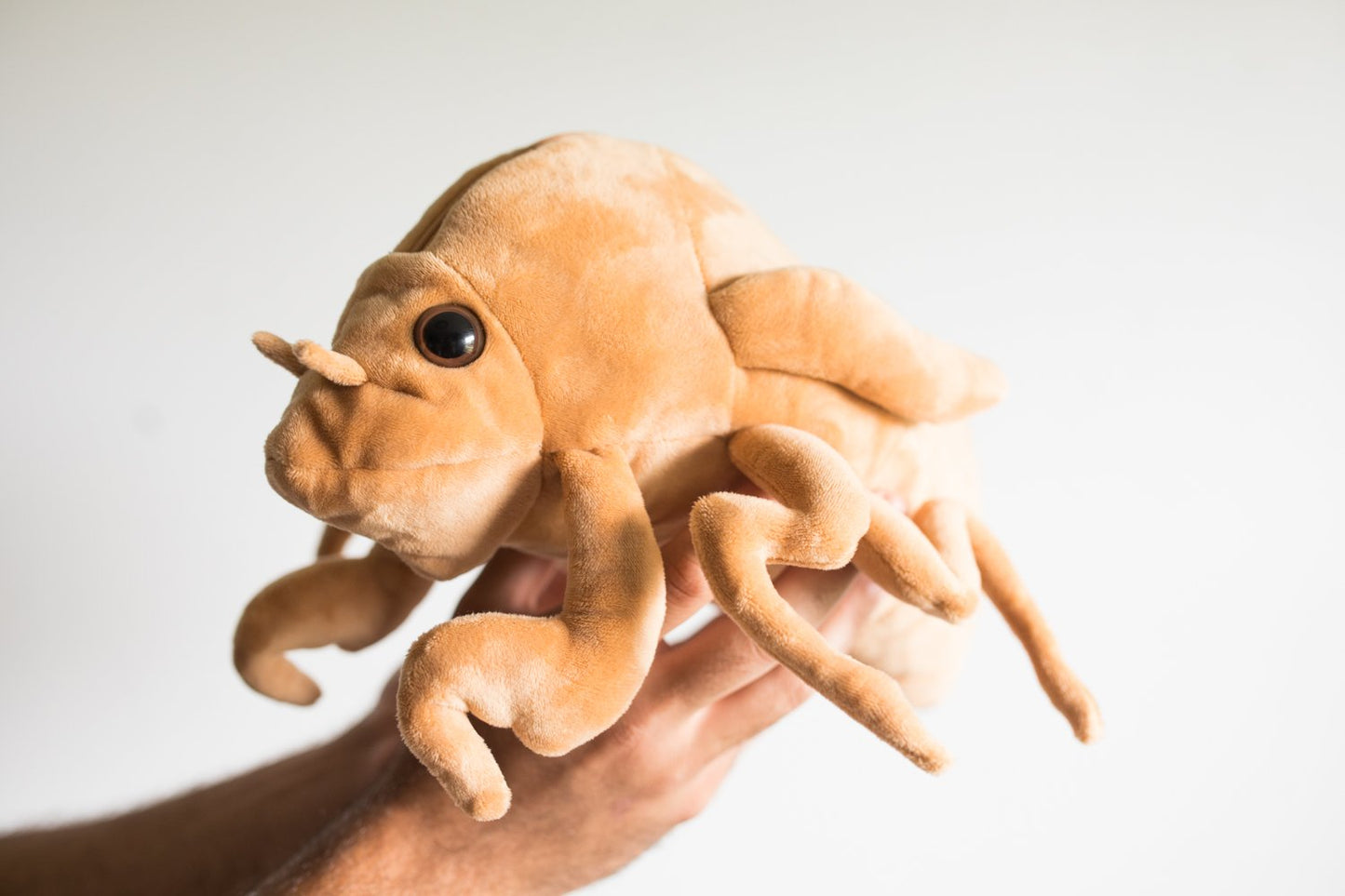 Cicada Plushie