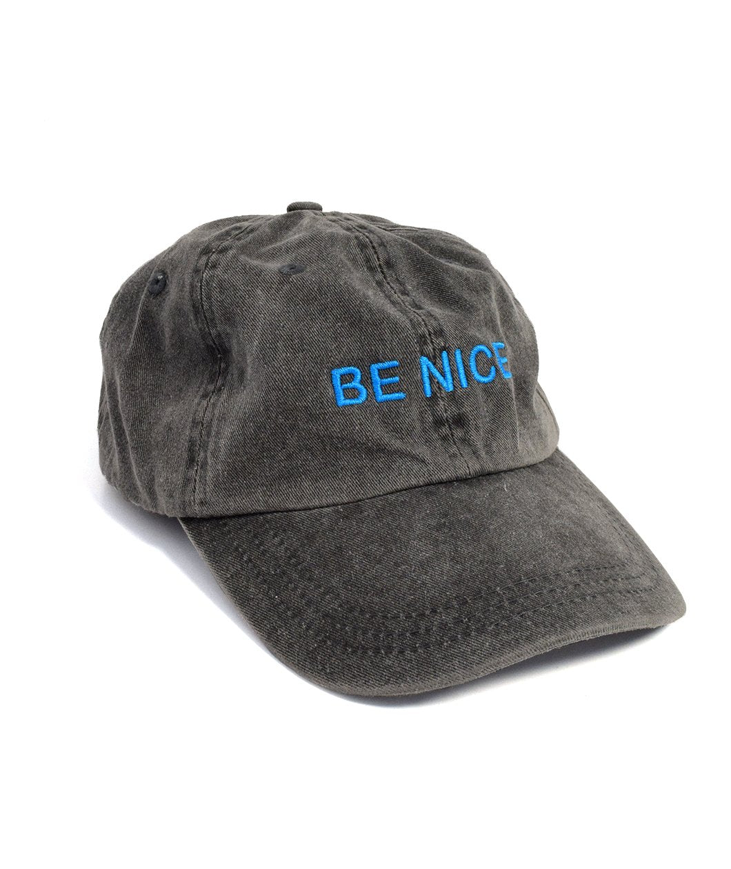 Be Nice Dad Hat