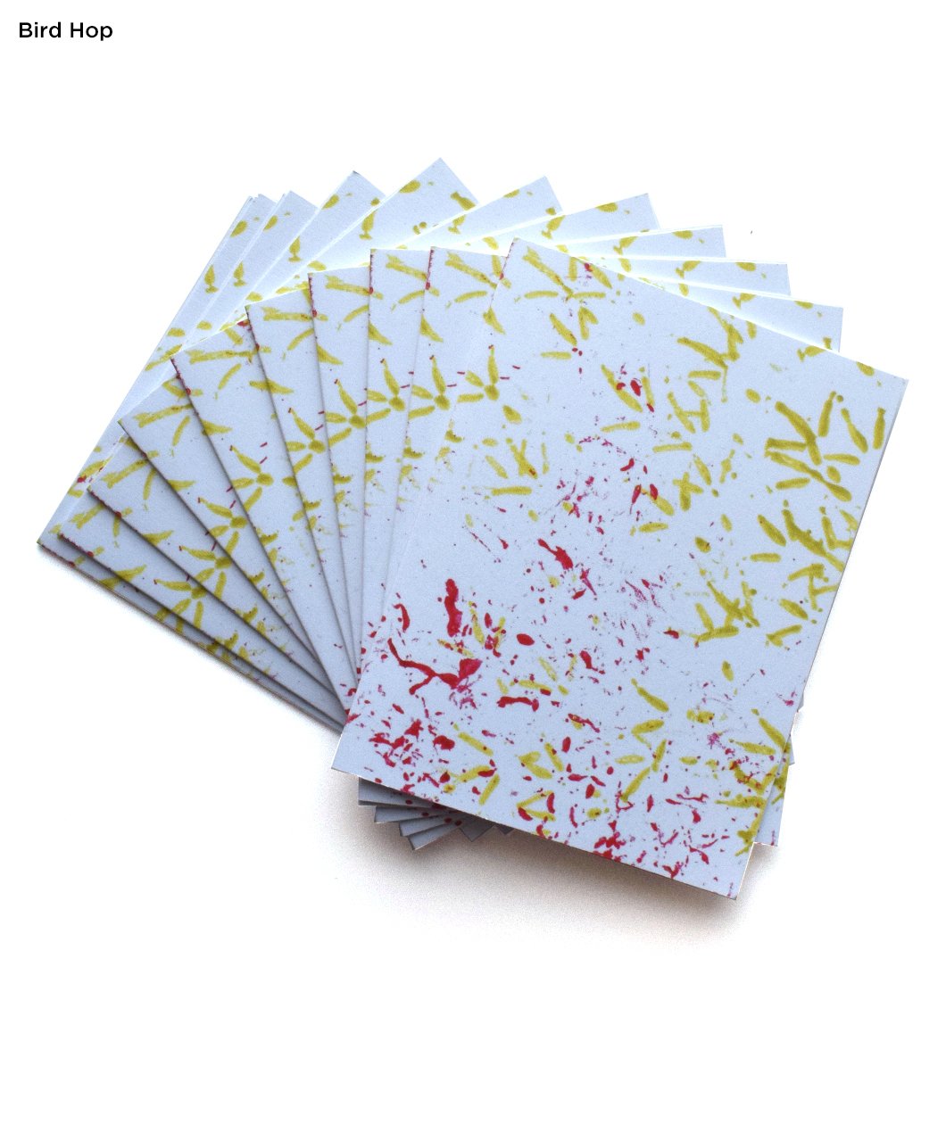 Animal Wonders Greeting Cards