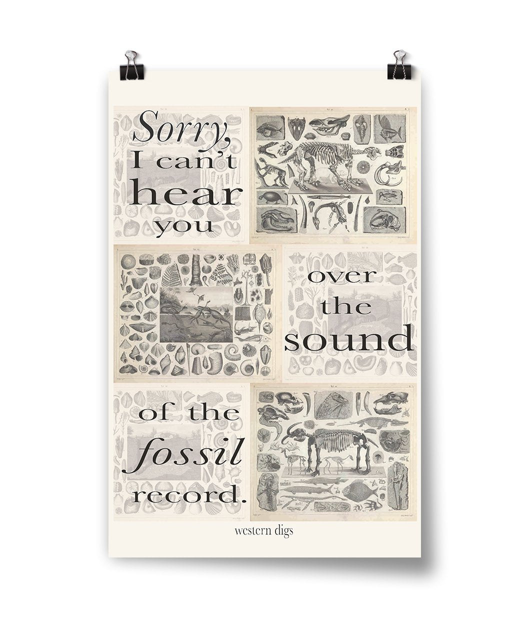 Fossil Record Poster