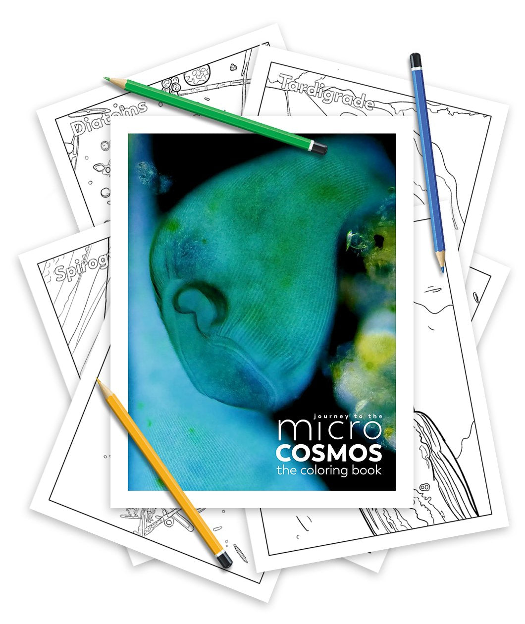 Journey To The Microcosmos Coloring Book - Digital Version