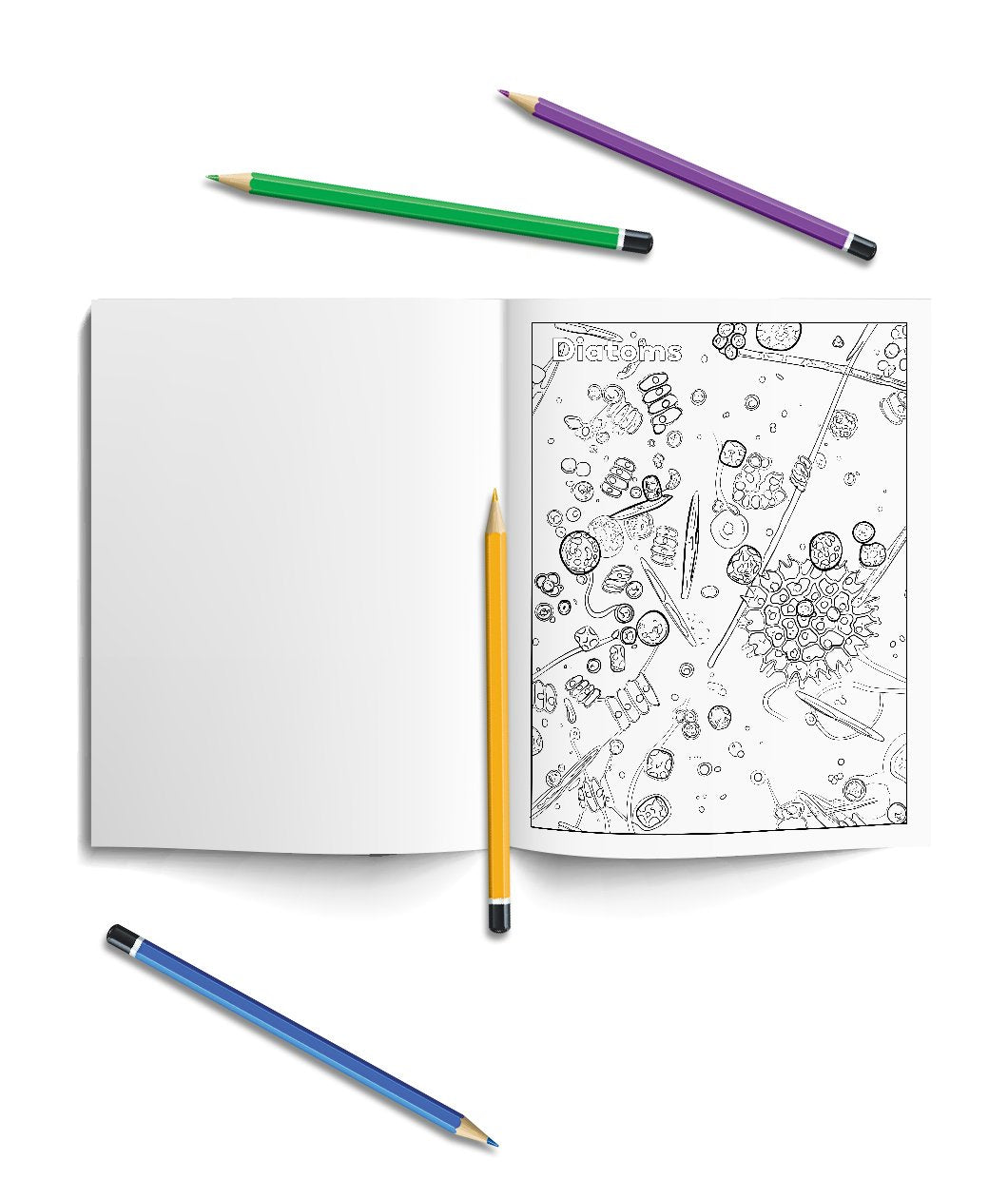 Journey To The Microcosmos Coloring Book
