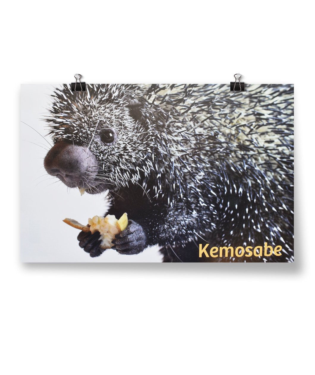 Kemosabe Poster