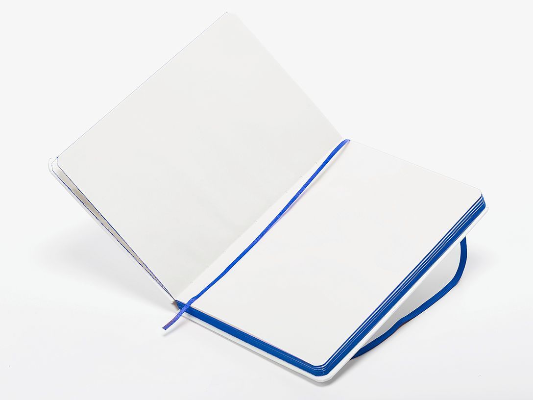 World Domination Notebook