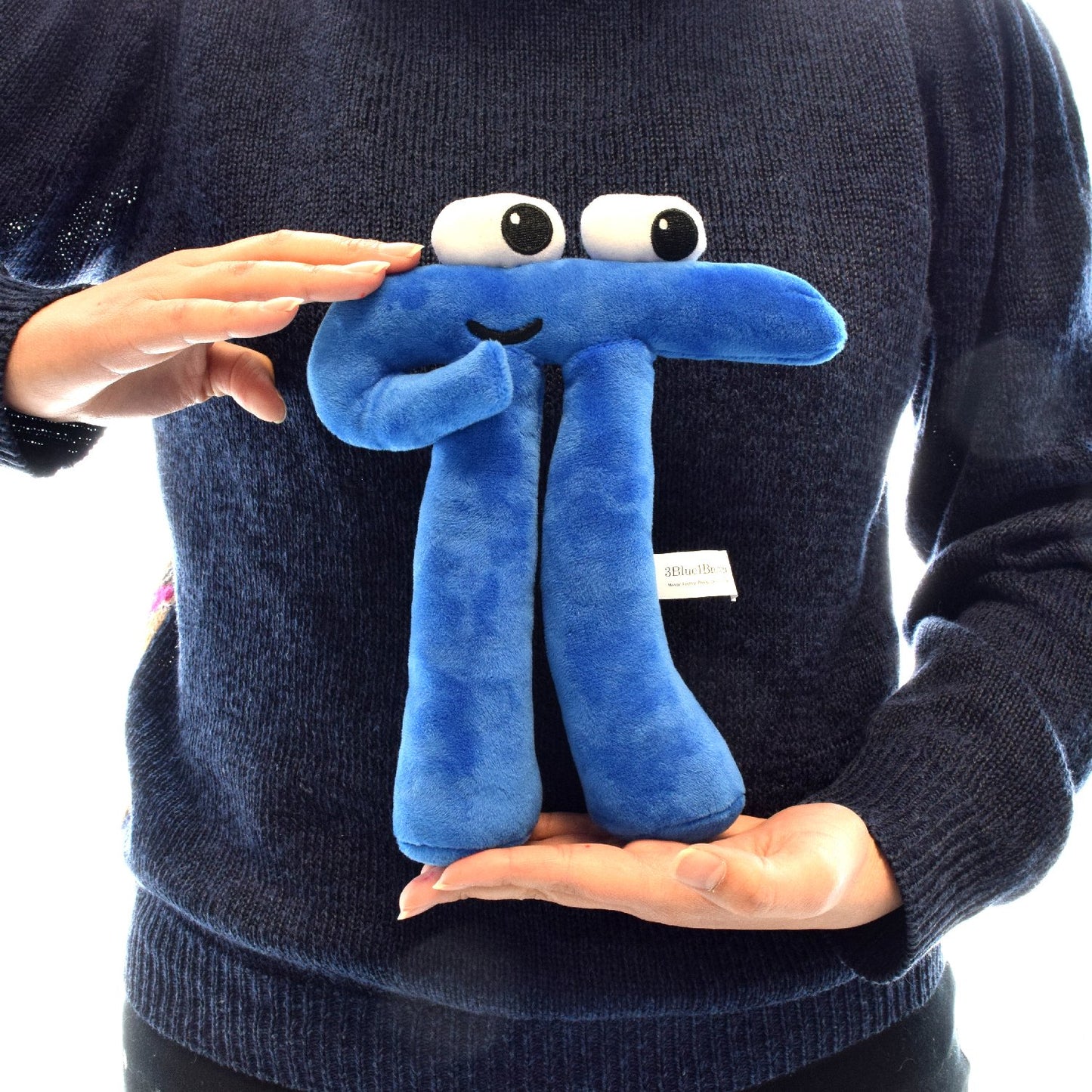 TALL 3Blue1Brown Pi Plushie