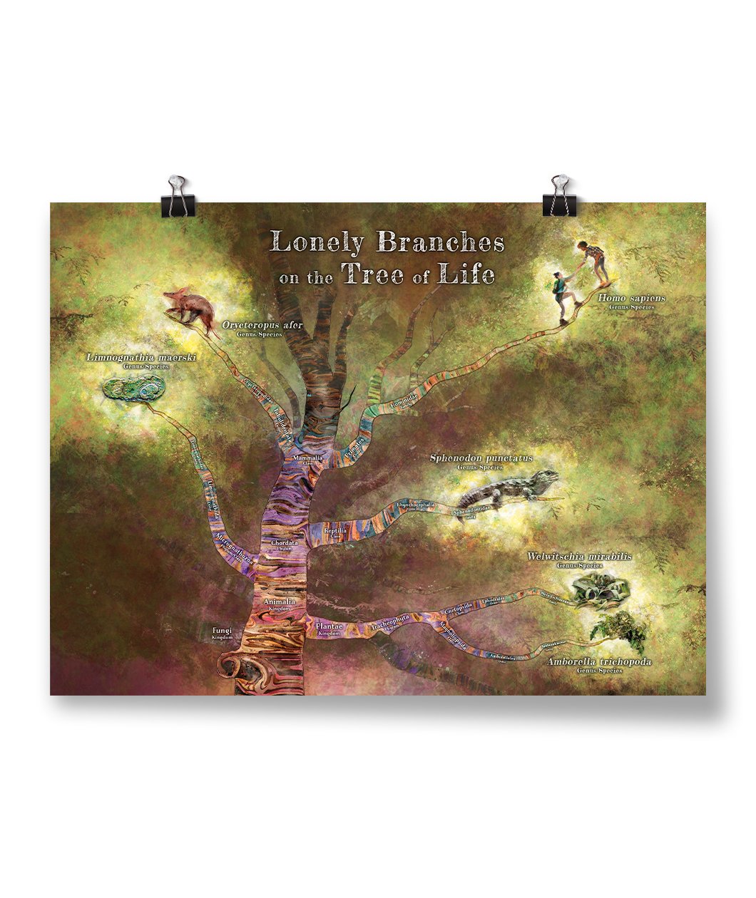SciShow Tree of Life Poster