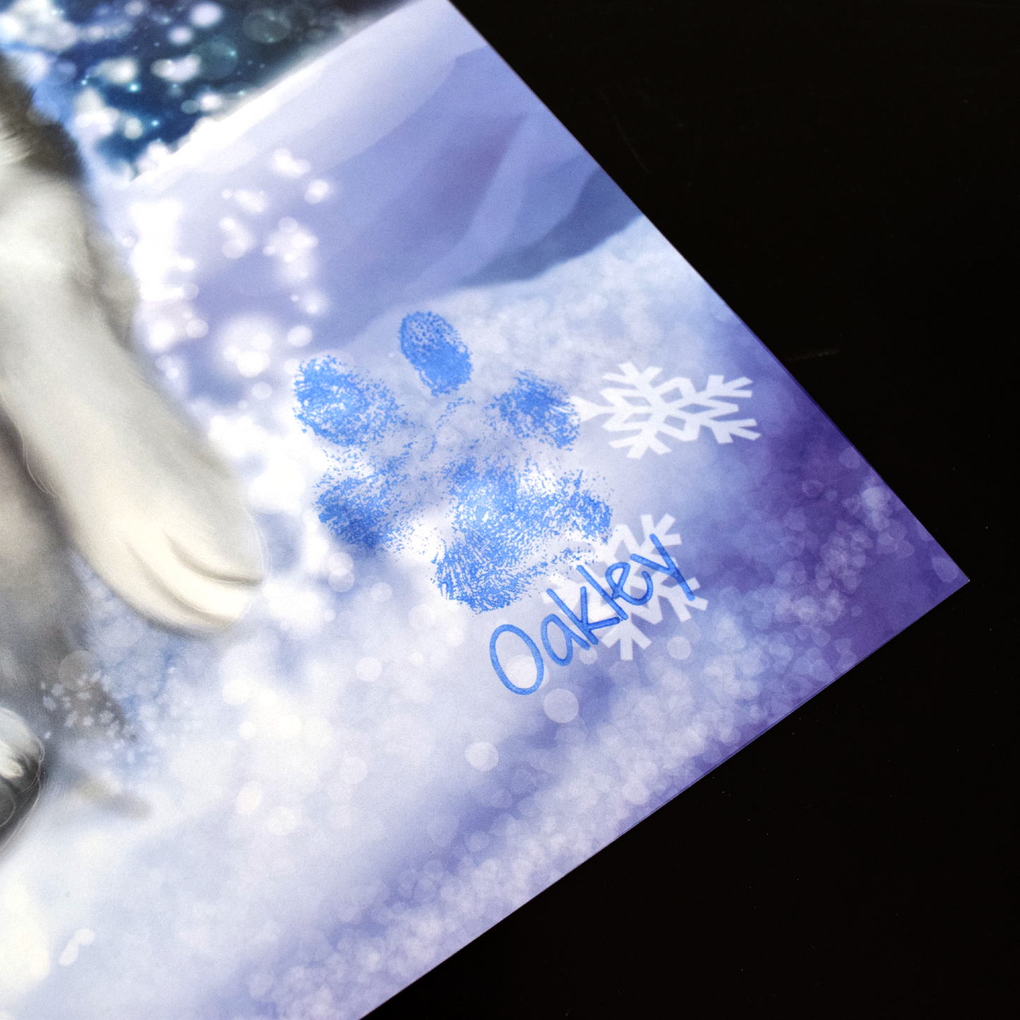Gone To The Snow Dogs Poster