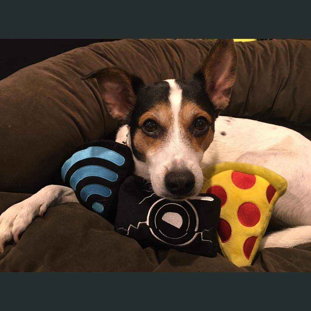 IKTV Plushie Dog Toy Set (Pack of 3)