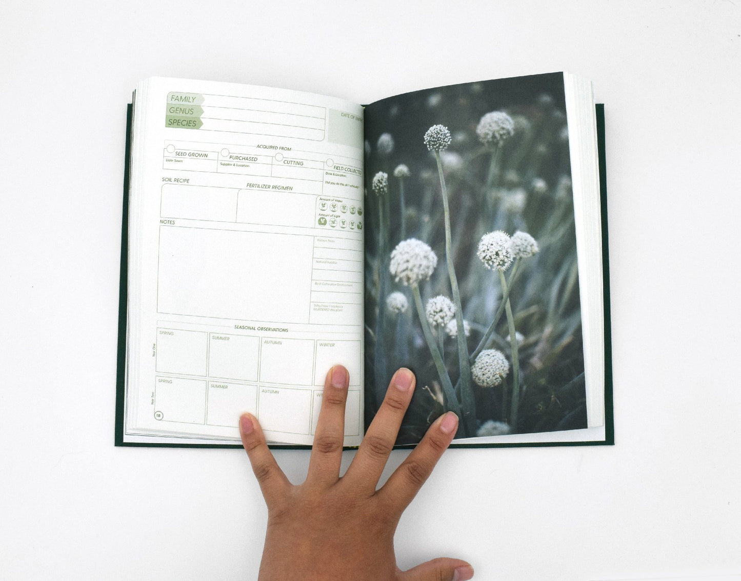Grow a Damn 2nd Edition Hardcover: Cactus