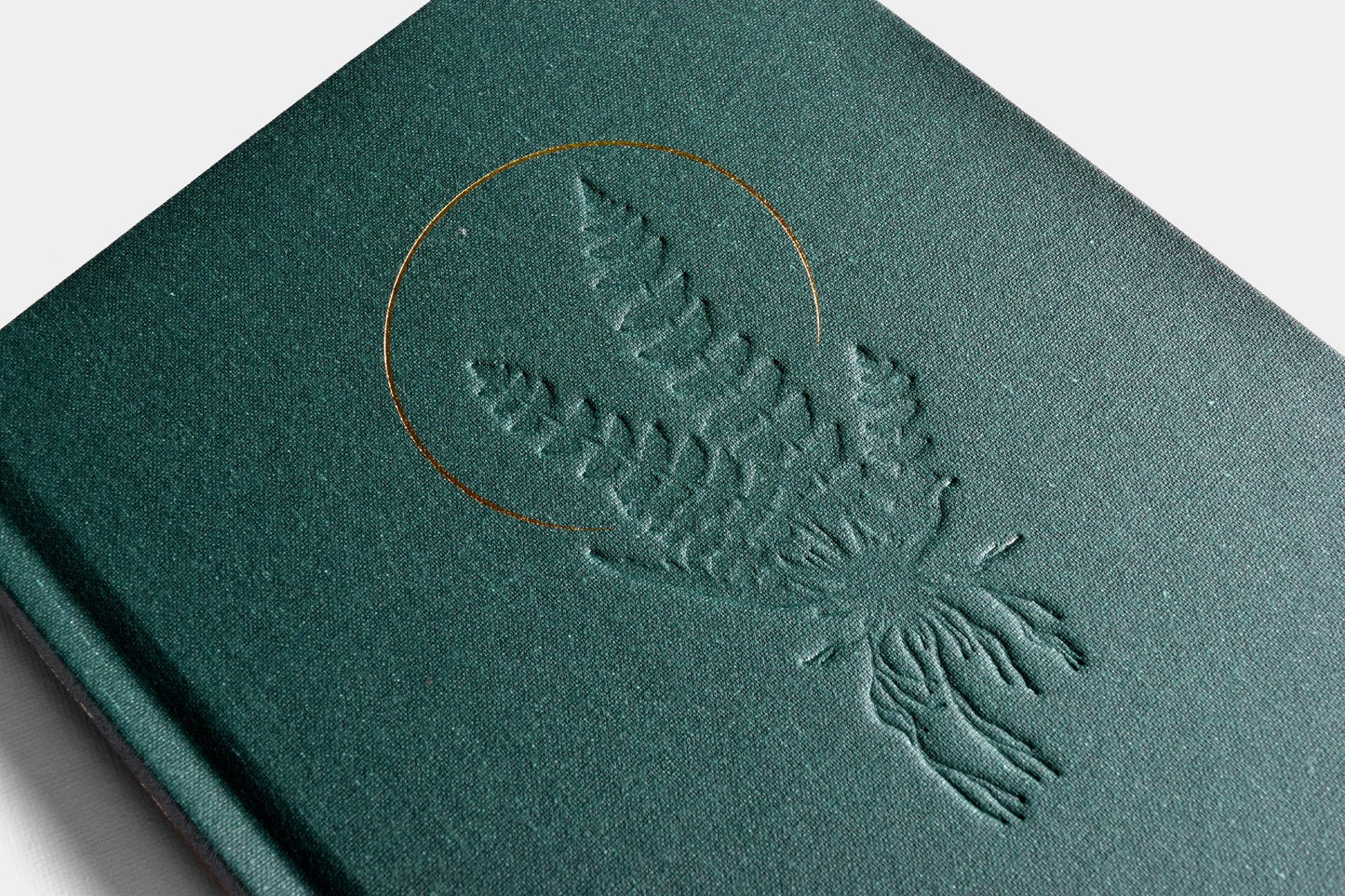Grow a Damn 2nd Edition Hardcover: Fern