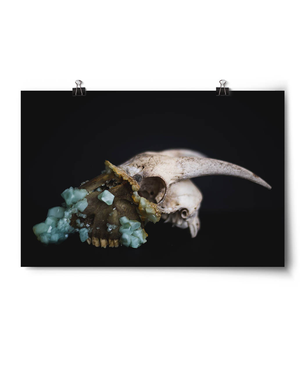 Crystalized Art Prints
