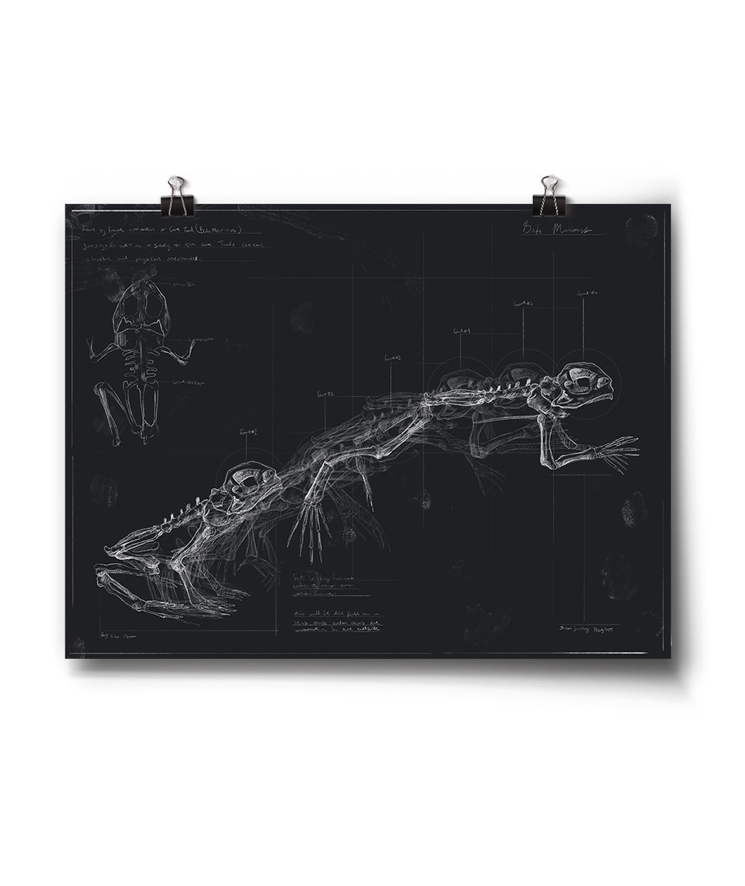 Crystalized Art Prints