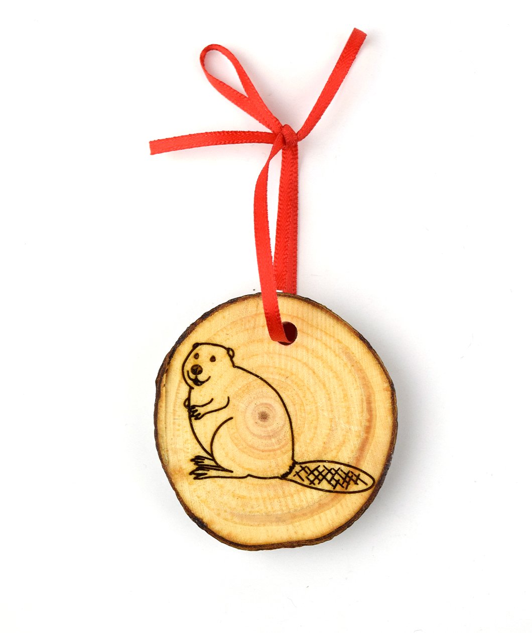 Animal Wonders Wooden Ornament