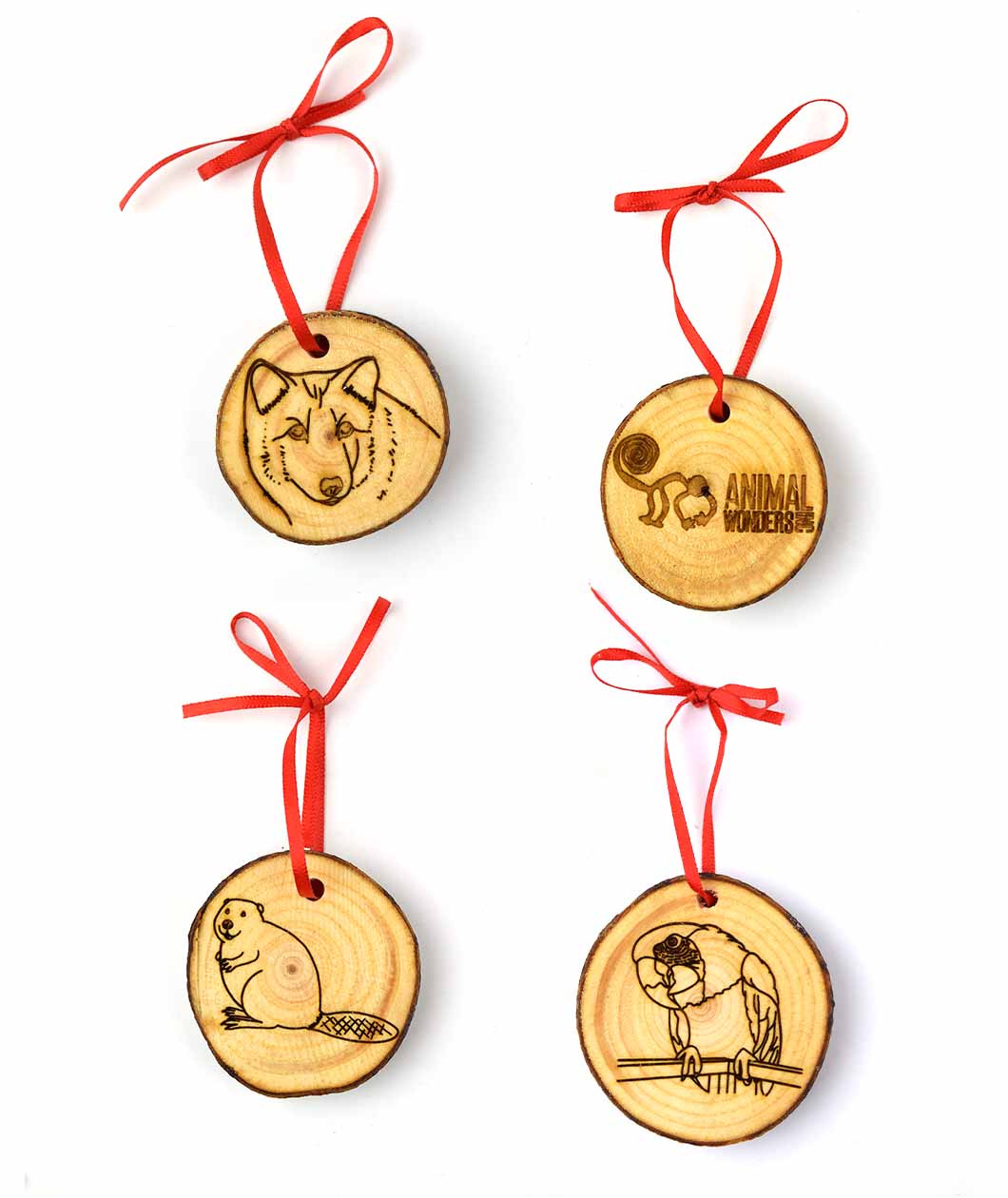 Animal Wonders Wooden Ornament